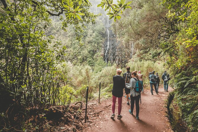 25 Fountains Levada: Hiking Tour in Madeira Rabaçal Valley (PR6) - Laurissilva Forest stop: shaded trails and guide-led facts that stick