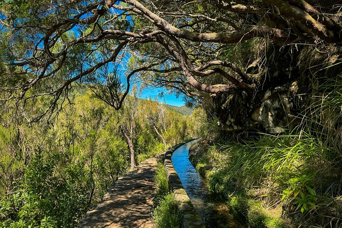 25 Fountains Levada: Hiking Tour in Madeira Rabaçal Valley (PR6) - 25 Fountains moment: waterfalls, but also a photo crowd you can’t ignore