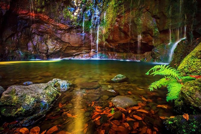"25 Fountains" Walk / Lost In The Beautiful Forest - Quick highlights you’ll care about