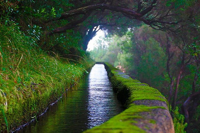 "25 Fountains" Walk / Lost In The Beautiful Forest - From Funchal pick-up to Rabaçal Valley: how the day starts