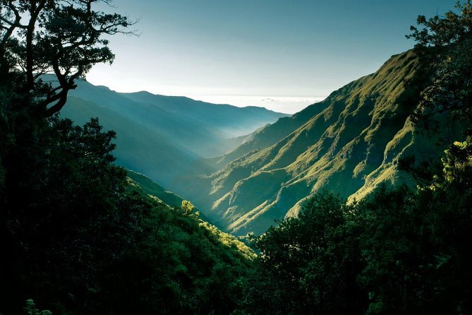 "25 Fountains" Walk / Lost In The Beautiful Forest - Crowds on an iconic Madeira hike: how to make it feel livable