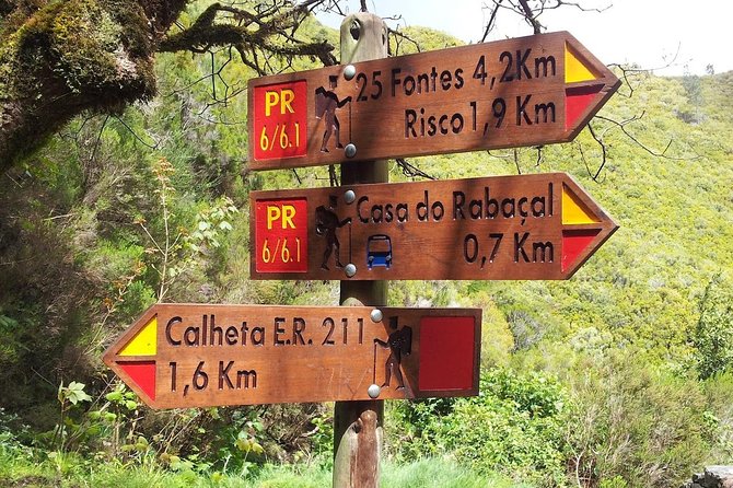 "25 Fountains" Walk / Lost In The Beautiful Forest - Steps, uphill return, and why the walking rhythm matters