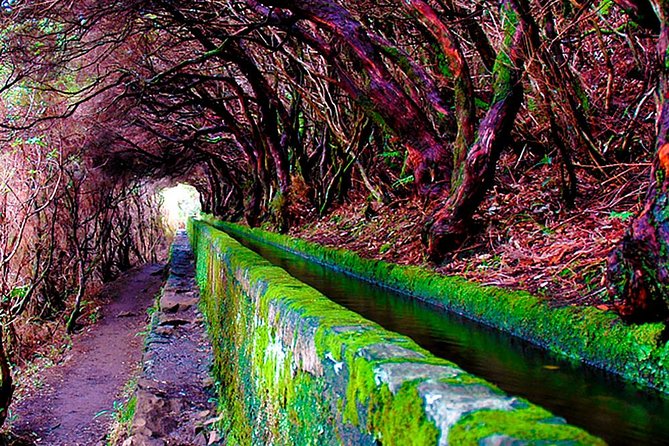 "25 Fountains" Walk / Lost In The Beautiful Forest - Guide style and group size: what makes the experience feel smooth