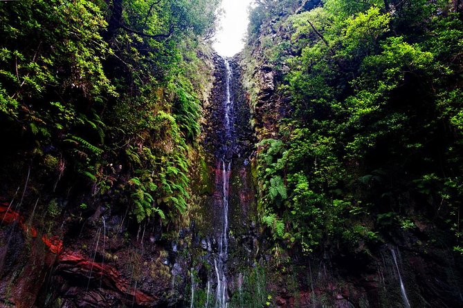 "25 Fountains" Walk / Lost In The Beautiful Forest - Price and logistics: is $54.07 good value?