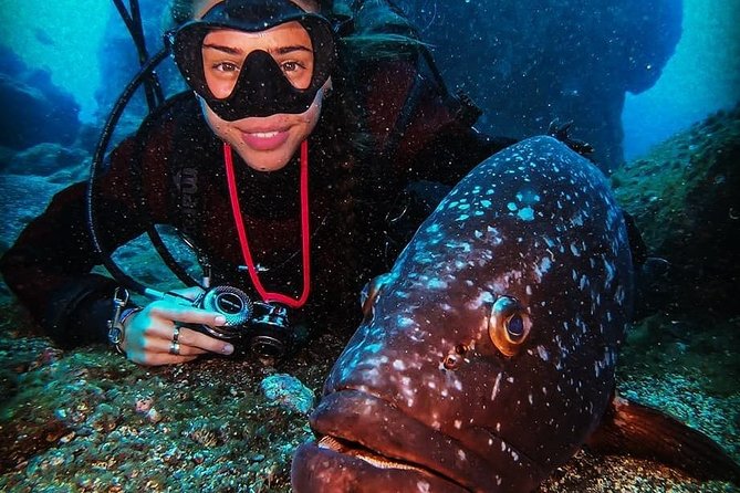 3 days Open Water Course | Scuba Diving - Your 9:30 am Start in Funchal: Meeting Point Basics