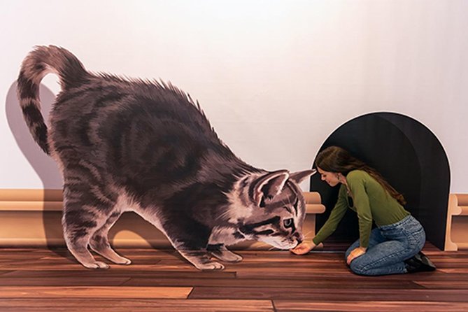 3D Fun Art Museum Funchal - About 40 scenarios: the art-history fantasy, the upside-down gags, and the dinosaur moments