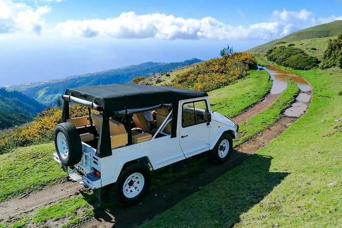 4x4 Jeep Tour to the West & Northwest of Madeira - Porto Moniz natural lava pools: swim time and where optional lunch fits