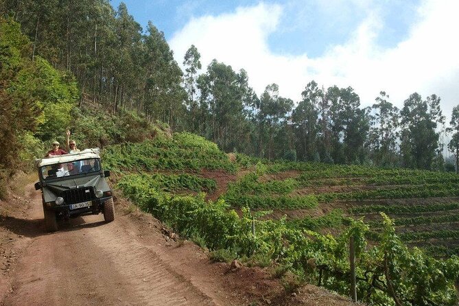 4x4 Safari Half day Poncha, Mountains, Vineyards and Cabo Girão Small group - Why this 4x4 half-day from Funchal makes sense
