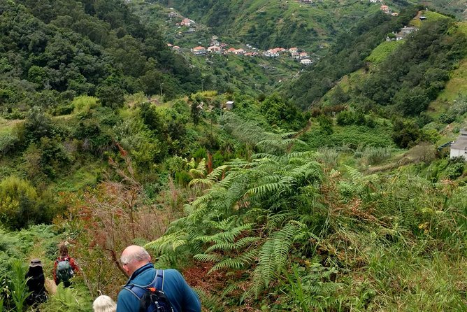 4x4 Safari Private Jeep, Full Day, Customizable Santana or Porto Moniz or other - Price and Value: What You’re Paying For (and Who Gets the Best Deal)