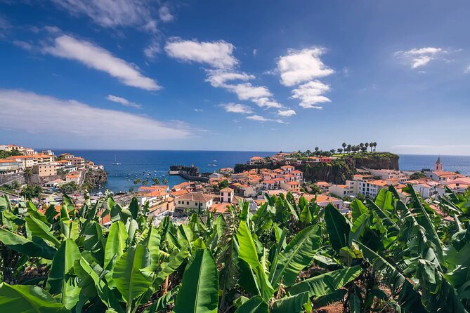 A great tuk-tuk adventure Tour at Cabo Girão - Skywalk - The tuk-tuk ride through Funchal: quick, local, and photo-friendly
