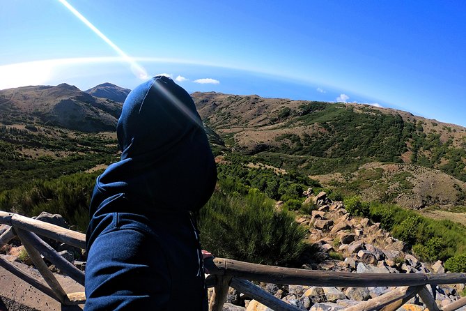 Achada do Teixeira to Pico Ruivo in Madeira (PR1.2) - Hiking Tour - Natura 2000 Forests and the Urze Details That Make the Hike Feel Alive
