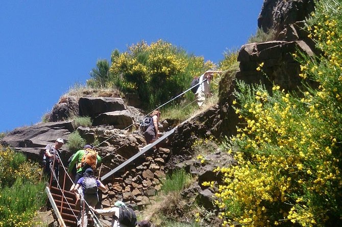 Achadas Teixeira- Pico Ruivo -& Pico pedras/Queimadas forest walk - Price and value: what you get for about $54 per person