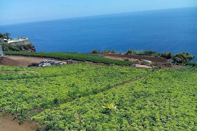 Agriculture Green Tour - Lunch in a traditional restaurant, plus village time and views