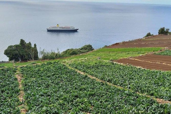 Agriculture Green Tour - The banana farm visit: where the scale meets the family story
