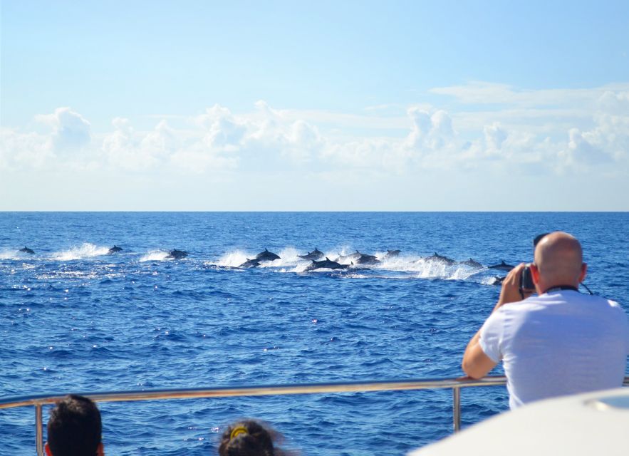 All Inclusive Whale and Dolphin Watching Luxury Tour - Madeira Whale Watching from Funchal, with Cabo Girão as the big scenic pivot