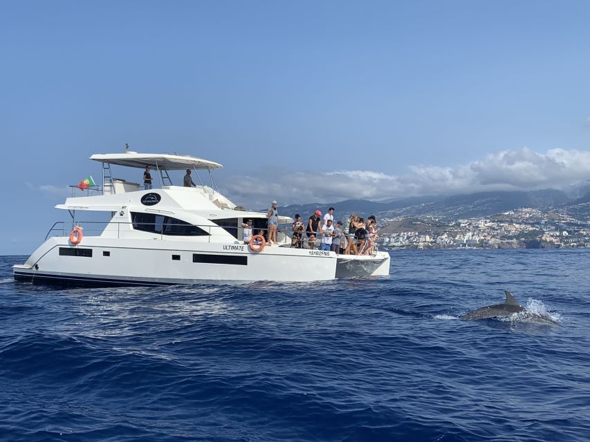 All Inclusive Whale and Dolphin Watching Luxury Tour - The Cabo Girão cliff stop: photos, swimming, and a calmer kind of wow