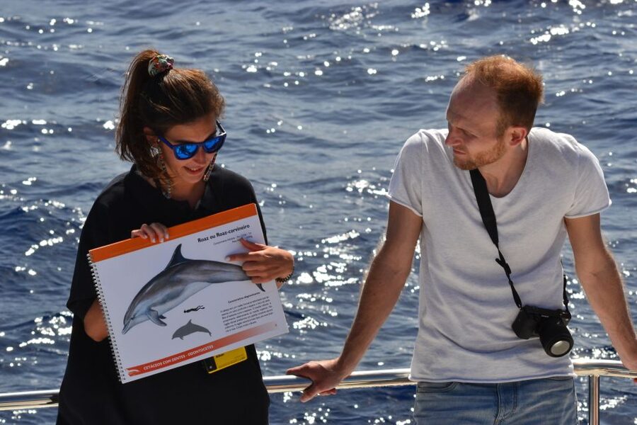 All Inclusive Whale and Dolphin Watching Luxury Tour - Value check: is $93 per person worth it on Madeira?