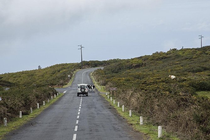 Amazing West - Jeep Safari Tour - Full Day - Shared Tour - The high plateau and the cloud-level feeling above the Atlantic