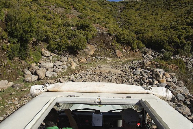 Amazing West - Jeep Safari Tour - Full Day - Shared Tour - Porto Moniz lava pools: free admission area, extra cost to go into the water