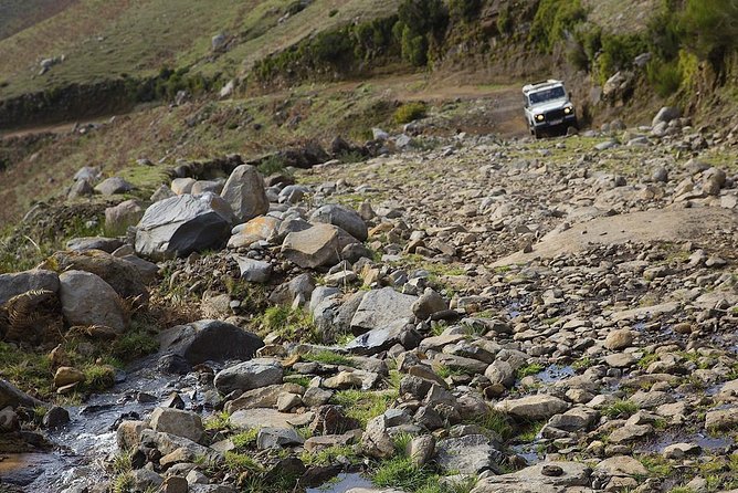 Amazing West - Jeep Safari Tour - Full Day - Shared Tour - Laurissilva off-road driving: why the Jeep matters more than you think