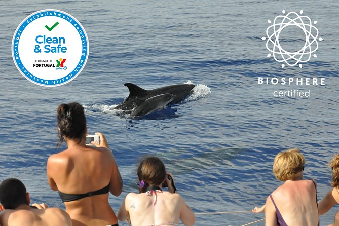 Arieiro Peak and Cristo Rei 4x4 Experience + Dolphins Watching - Private Tour Style: Why “Only Your Group” Changes the Feeling