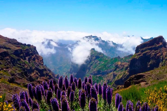 Arieiro Peak, Santo Serra, Cristo Rei in Open Roof 4x4 Experience - Price and value, what $54.42 really buys you
