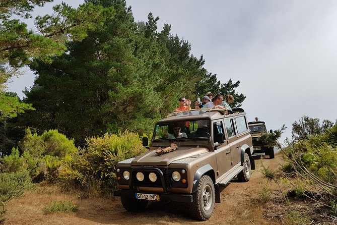 Arieiro Peak, Santo Serra, Cristo Rei in Open Roof 4x4 Experience - Stop 1: Largo do Miranda S (359 meters), the easy warm-up over Funchal