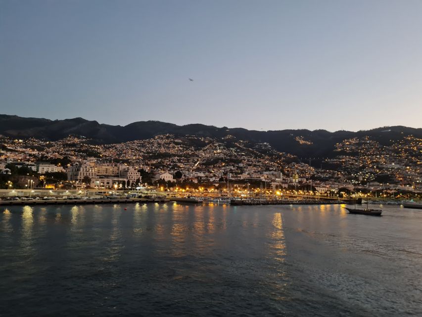 Audio Guide Citywalk Funchal for Cruise Guests - Finishing at Santa Catarina Park Above the Harbor