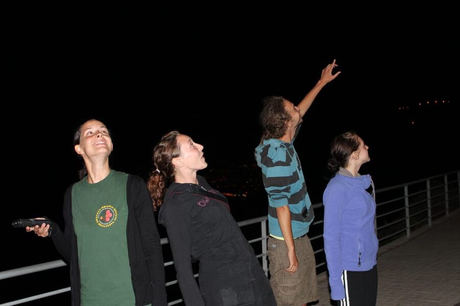 Bat Watching Madeira - Stop by Stop: Where the Action Is Likely to Show Up