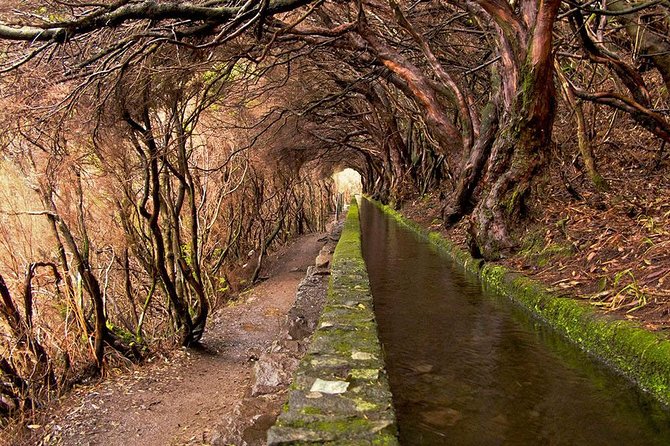 Beautiful walks in Rabaçal, Madeira - Key Highlights Before You Go