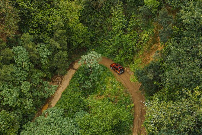 Bespoke adventure in Madeira with pick-up - Food, Tickets, and What’s Actually Included