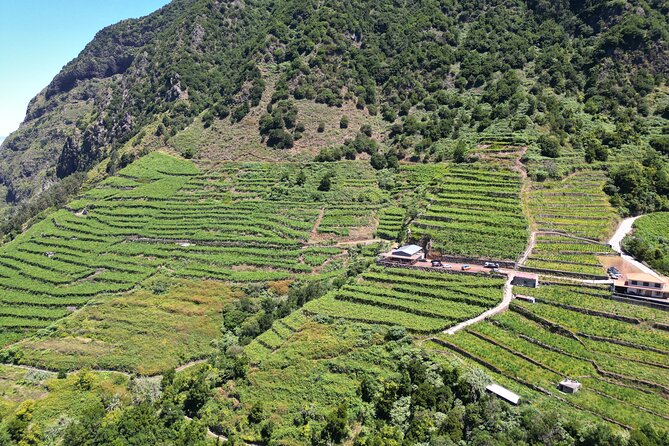 Bestselling Wine Tour, Tasting Experience & Skywalk 4x4 Adventure - Serra de Água and Encumeada: The View Stop That Feels Like a Breather