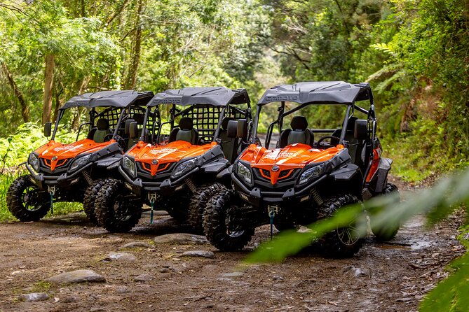 Buggy Adventure in Madeira off Road - Mud, Views, and a Route That Moves (Not Just Stops)