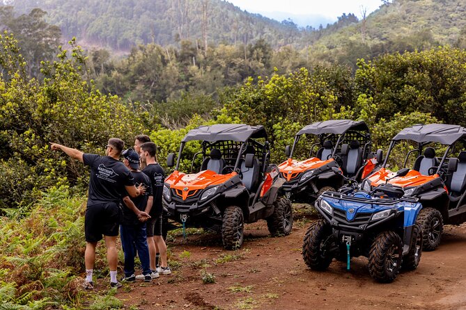 Buggy Adventure in Madeira off Road - On-Route Scenery: Laurissilva Forest Views While You Ride
