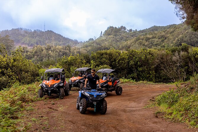 Buggy Adventure in Madeira off Road - Pico do Furado: Wide North Coast Views for Your Camera Roll