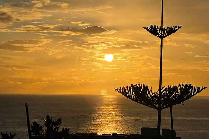 CABO GIRÃO (Half Day tour/3h) / Private Classic Car (4L). - Pickup in Funchal, plus the small-car reality check