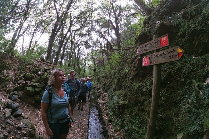 Caldeirão Verde Levada (PR 9) - Guided Madeira Levada Walk - Why this Levada walk is more than just another hike
