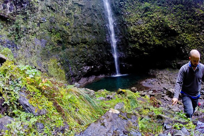 Caldeirão Verde Levada (PR 9) - Guided Madeira Levada Walk - Stop 1 at Parque Florestal das Queimadas: thatched-roof magic at 980m