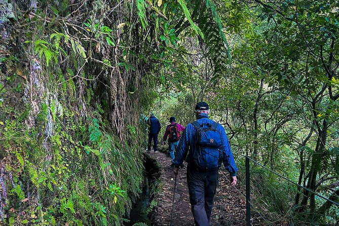 Caldeirão Verde Levada (PR 9) - Guided Madeira Levada Walk - The Caldeirão Waterfall moment: emerald lagoon payoff and photo reality
