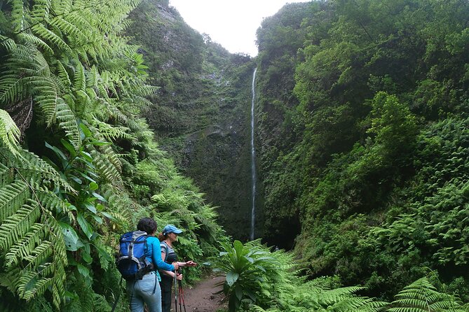Caldeirão Verde Levada (PR 9) - Guided Madeira Levada Walk - Pace, tunnels, and narrow paths: the part that can make or break your day