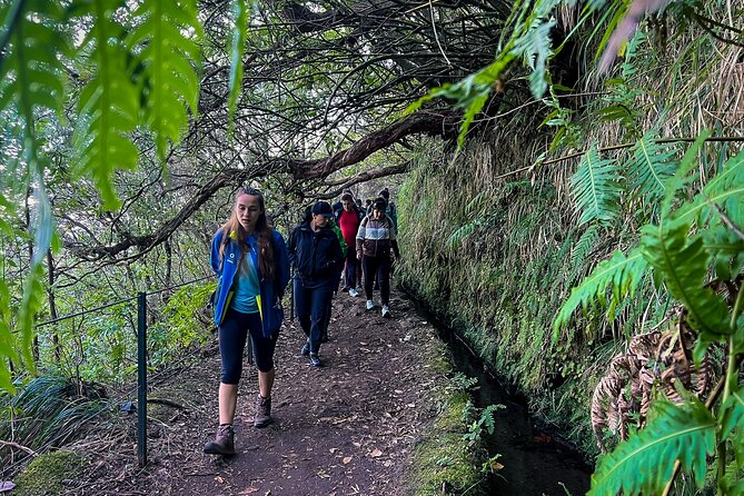 Caldeirão Verde Levada (PR 9) - Guided Madeira Levada Walk - What to pack so you don’t get stuck dealing with discomfort