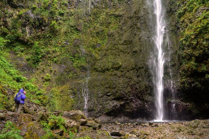 Caldeirão Verde Levada (PR 9) - Guided Madeira Levada Walk - The morning start from Funchal: timing and pickup that matter