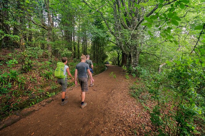 Caldeirão Verde Levadas Walk in Madeira - What the guided part actually adds