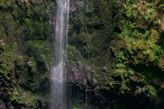 Caldeirão Verde Levadas Walk in Madeira - The Caldeirão Verde levada walk, step by step