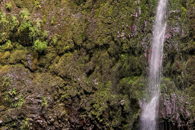 Caldeirão Verde Levadas Walk in Madeira - Timing reality: how long you’ll actually be walking
