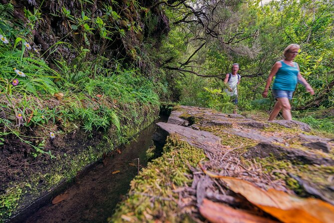 Caldeirão Verde Levadas Walk in Madeira - Lunch and drinks, what you should plan for