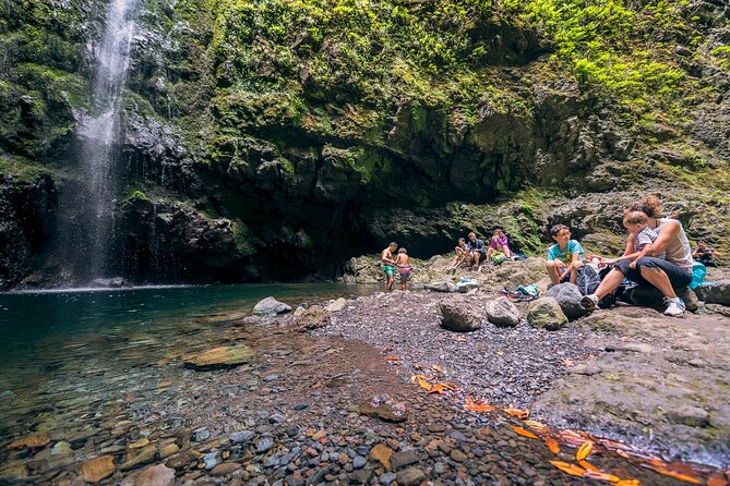 Caldeirão Verde Levadas Walk in Madeira - Guides, personalities, and why it matters on a levada day