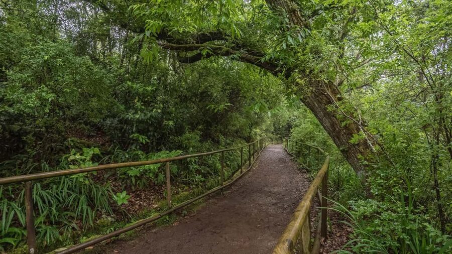 Caldeirão Verde: Queimadas PR9 Transfer and Self-Guided Hike - Key highlights you should know before you go