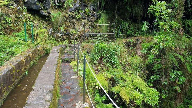 Caldeirão Verde: Queimadas PR9 Transfer and Self-Guided Hike - What you actually do on the trail: Levada walking, mist, and repeated falls