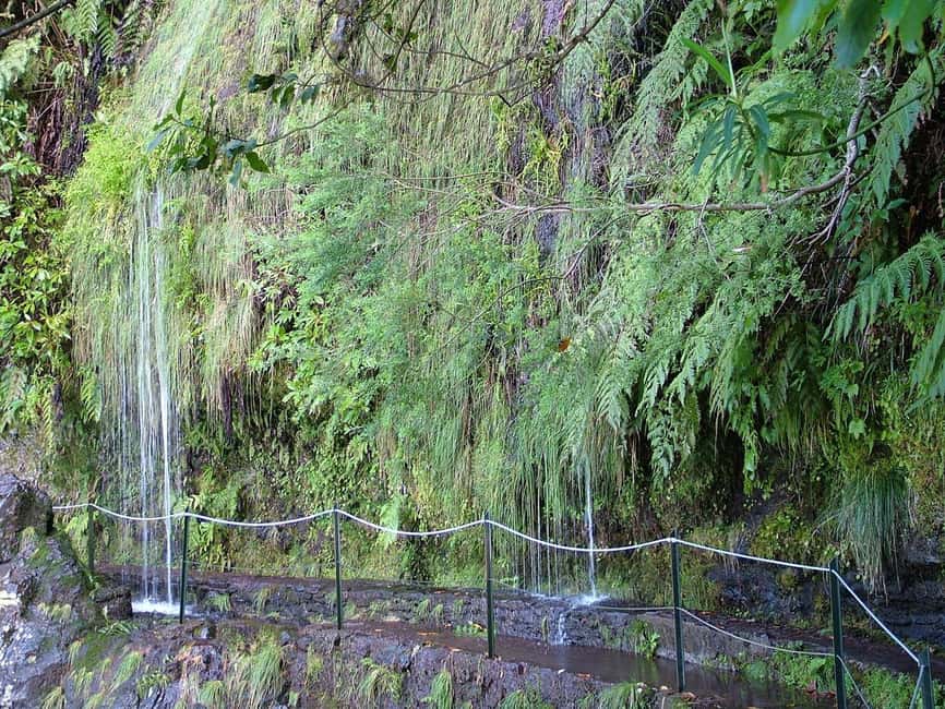Caldeirão Verde: Queimadas PR9 Transfer and Self-Guided Hike - Stop-by-stop flow: van ride, instructions, then a round-trip you control